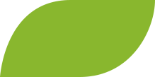 Green overlay shape